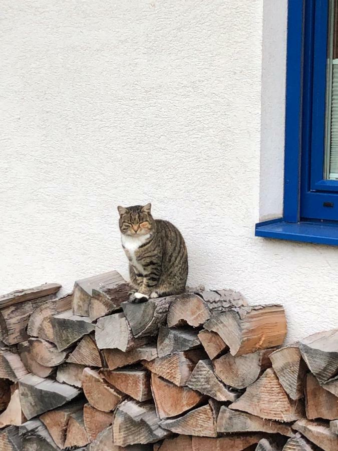 Haus Sonnenweg Villa Mariapfarr Exteriör bild